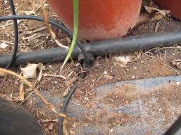 Drip irrigation system component