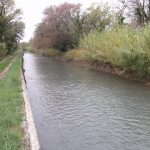 Canal for conveyance of irrigation water